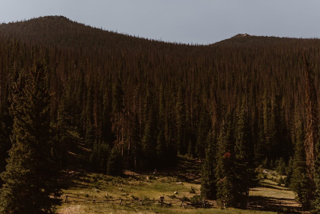 View of Hidden Valley wedding ceremony spot in RMNP