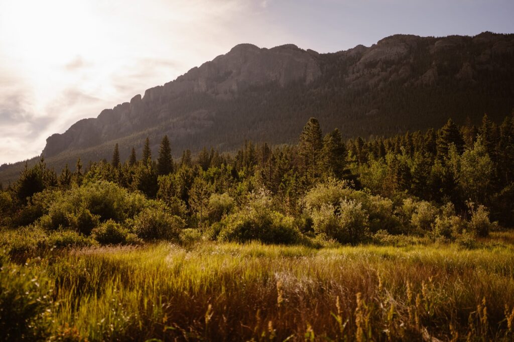 Lily Lake looking toward Twin Sisters