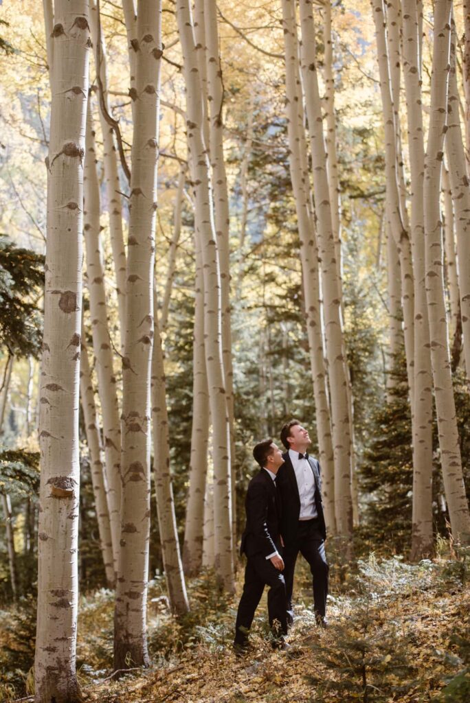 two grooms in an aspen grove in colorado