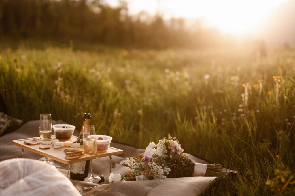 Champagne and charcuterie wedding picnic