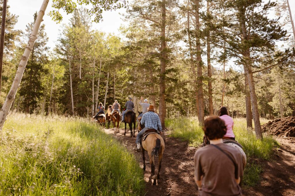 Group horseback riding into the aspen grove