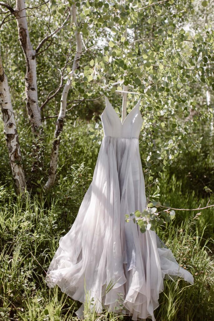 wedding dress hanging in an aspen grove