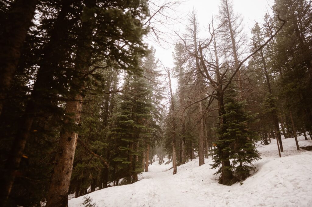 View of snowy hike to Dream Lake in RMNP