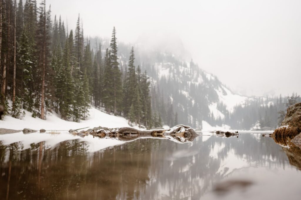 Dream Lake in May