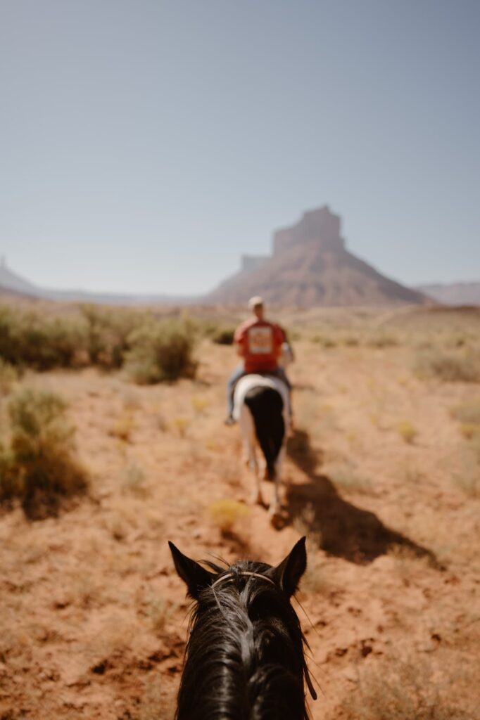 Riding horses on an elopement day