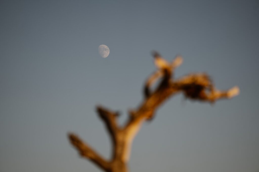 The moon out during the day