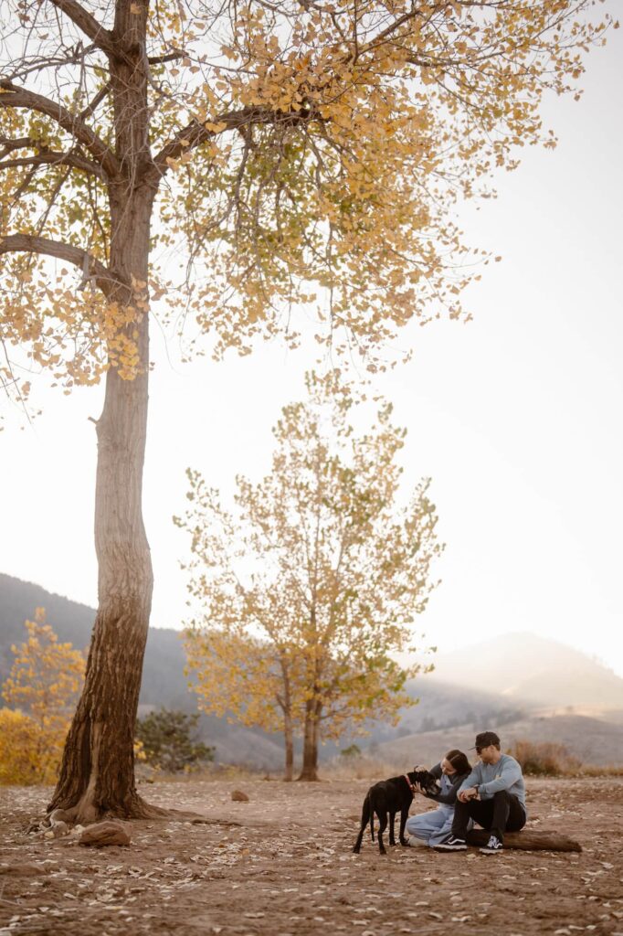 Couple snuggling dog under a large cottonwood tree