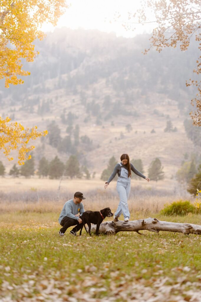 Dog watching owners walk down a log