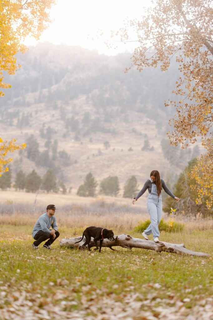 Cute family lifestyle portraits with senior dog