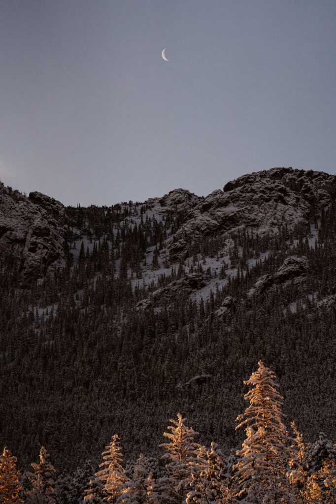 View of moon and sunlit snowy trees in Colorado