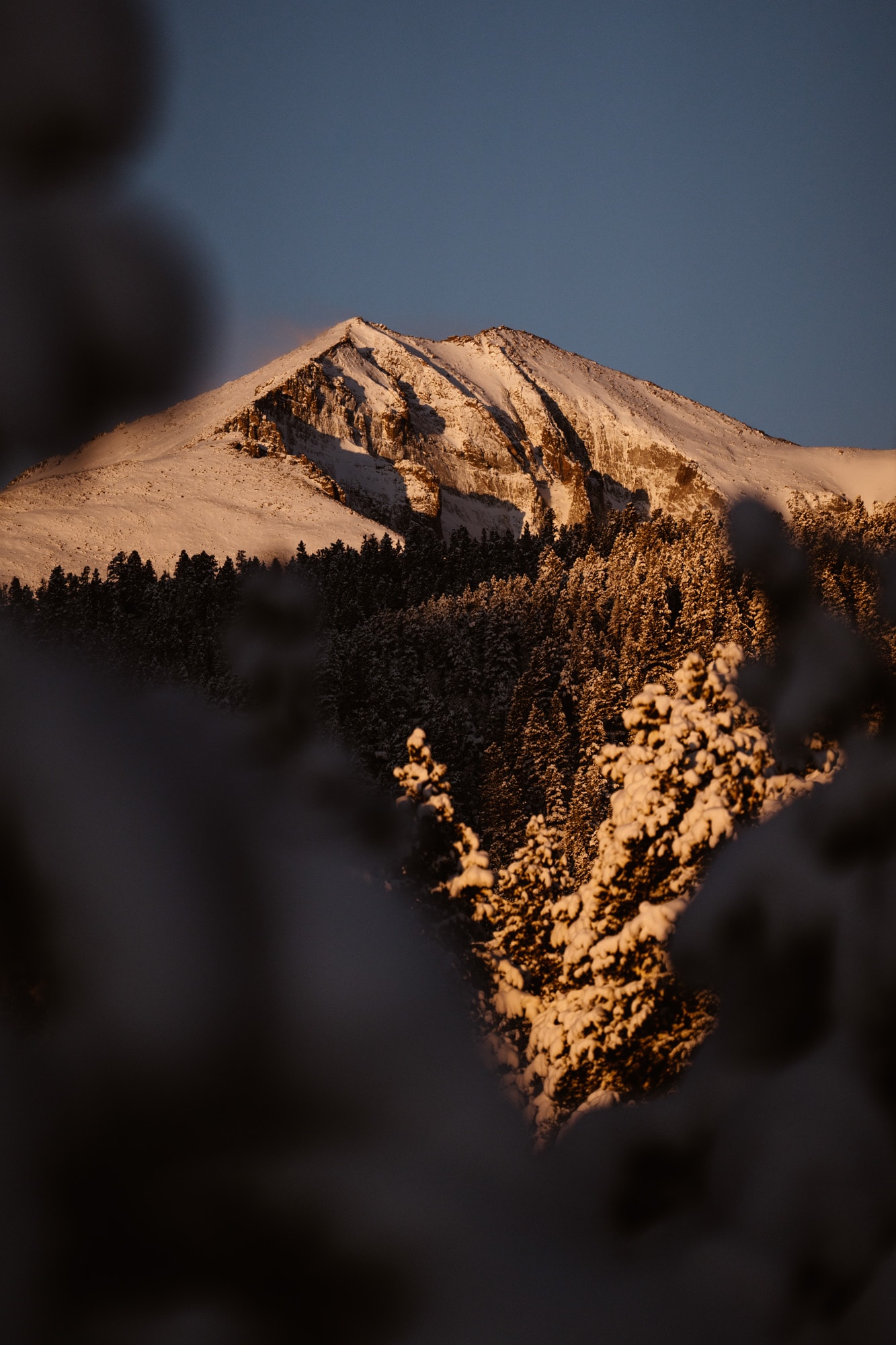 Lily Lake Wedding Photos in a Snow Storm