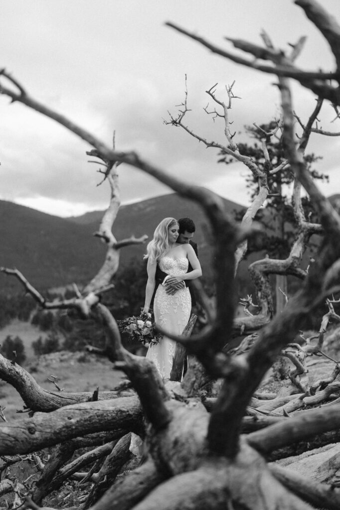 Couple standing on a fallen and gnarly tree on their elopement day