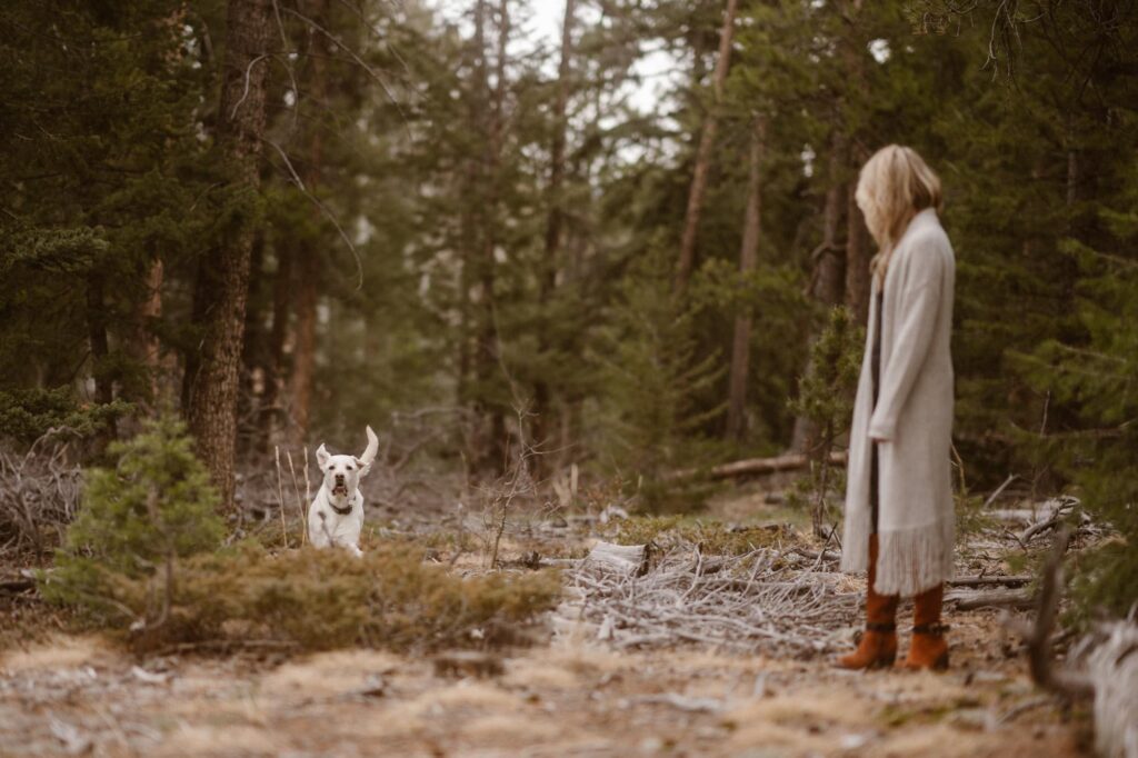 Dog excitedly running through the forest