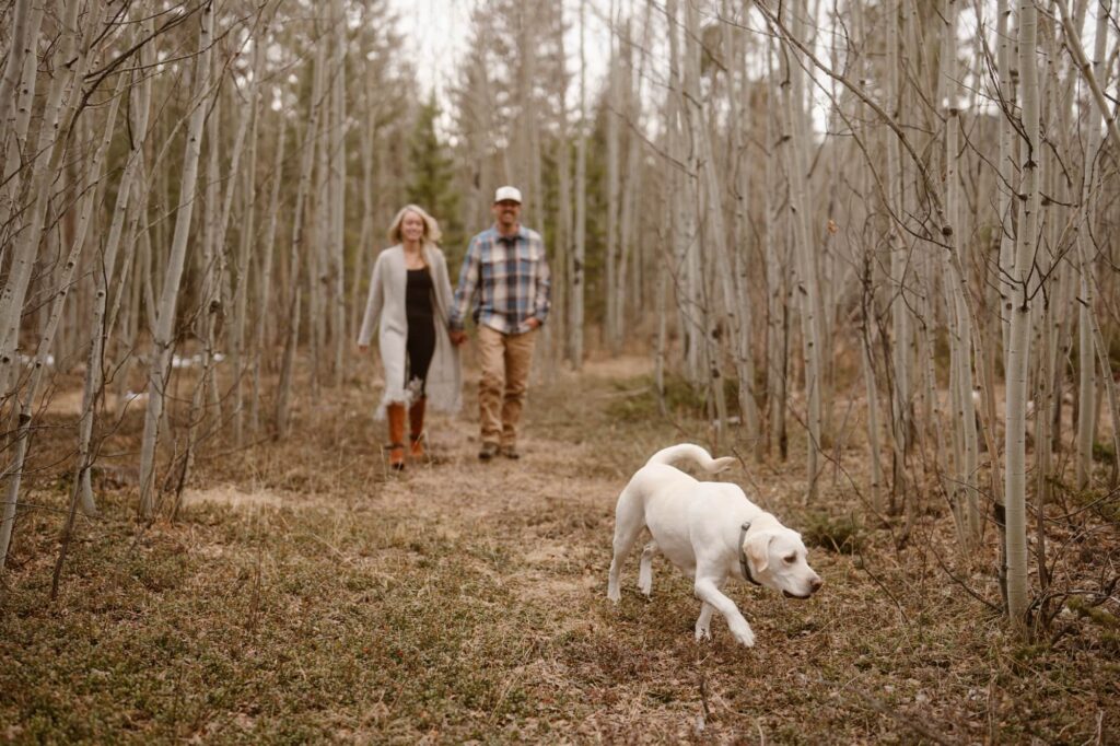Couple walking with their dog through an aspen grove in Colorado