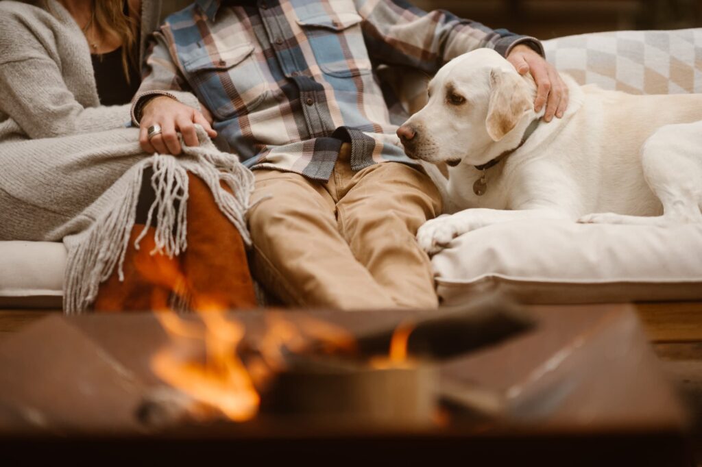 Dog looking at owners as they hold hands during their engagement session