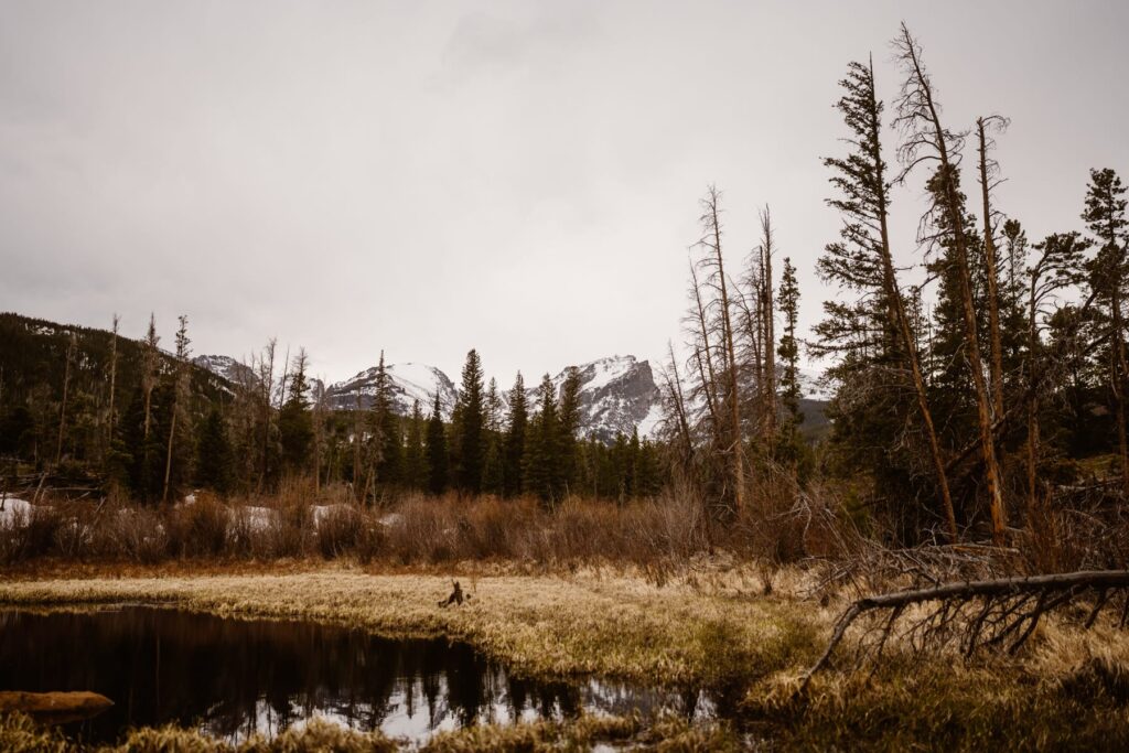 View of Continental Divide from Sprague Lake