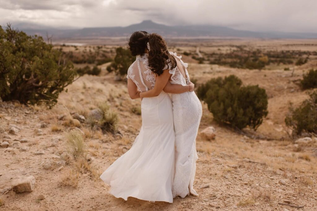 Brides looking off into the distance at the beautiful desert landscape
