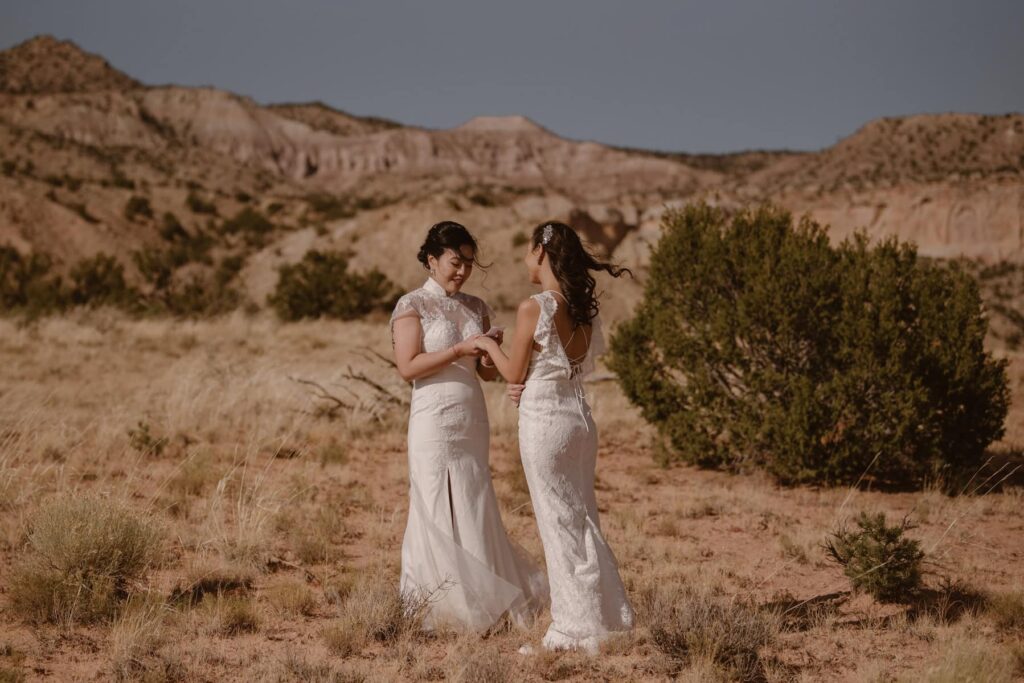 Beautiful New Mexico desert landscape for a wedding