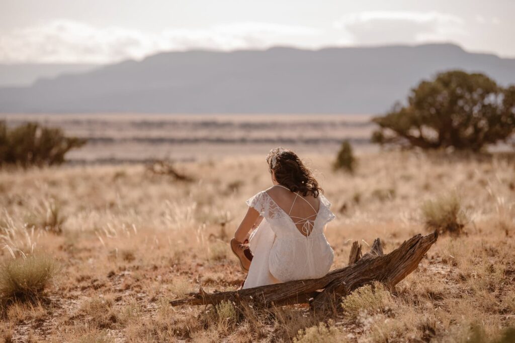 Bride sitting on a log with mountains in the distance