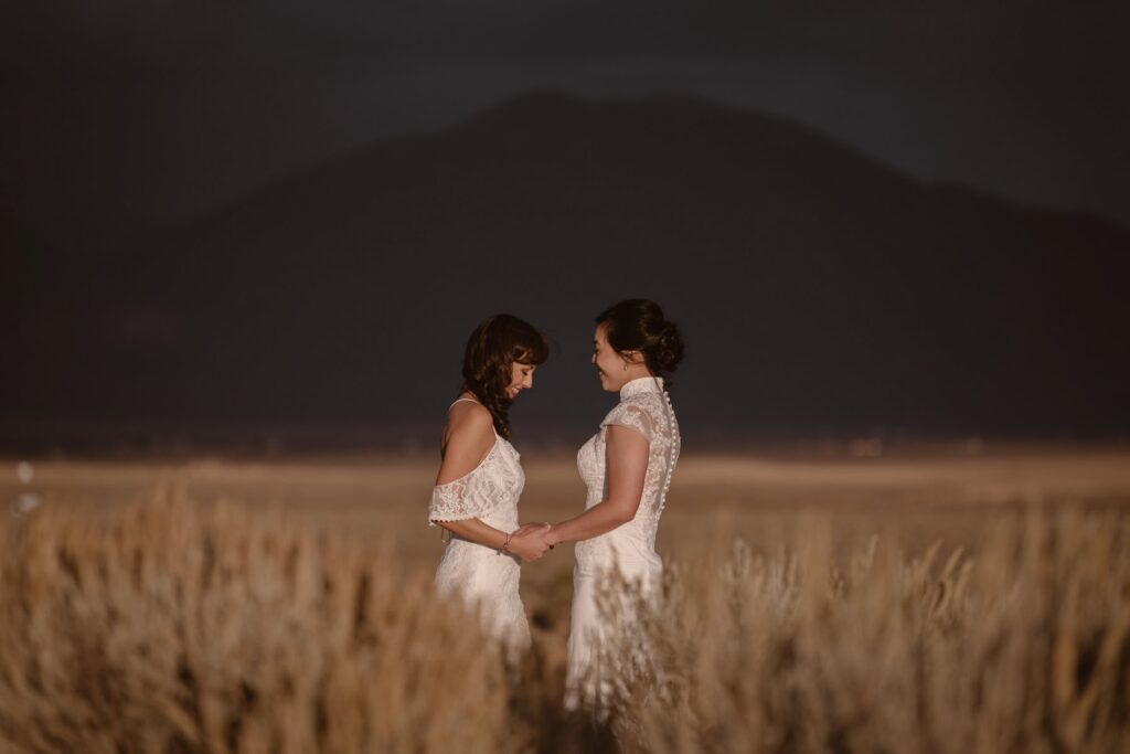 Brides in a golden field at sunset in the desert