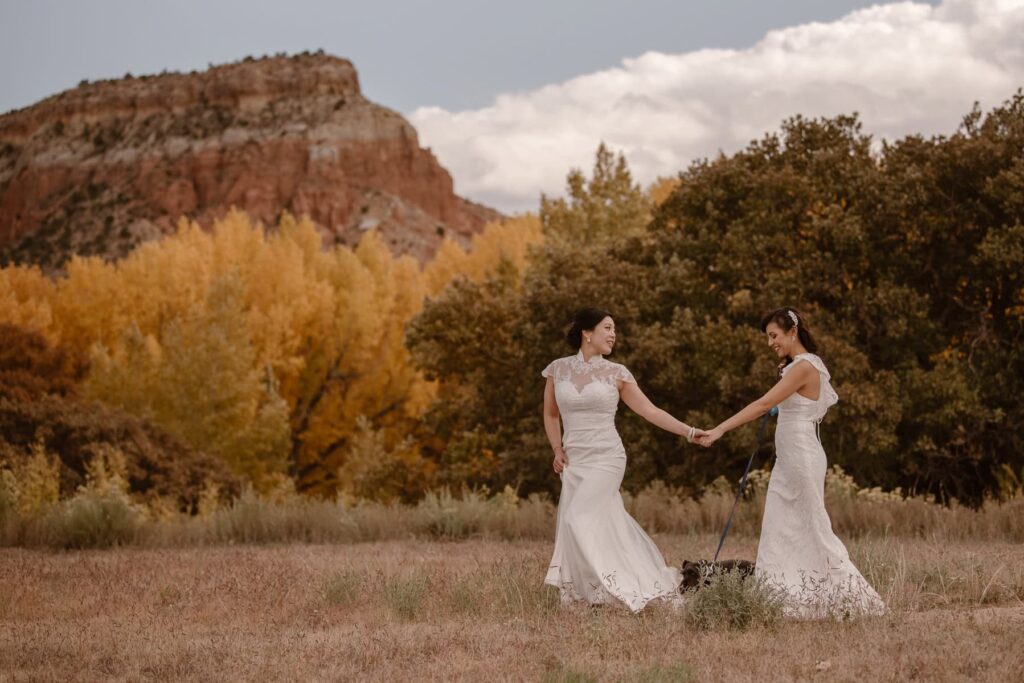 Ghost Ranch wedding couple in the meadow with their dog