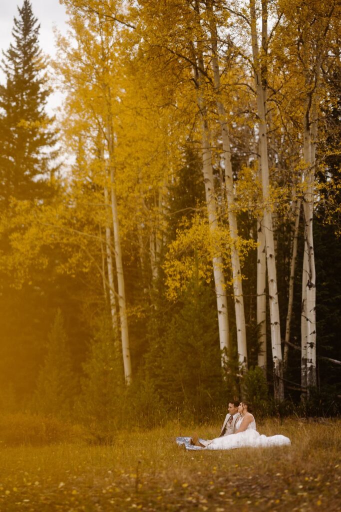 Couples portraits in the Autumn gold meadow of Colorado