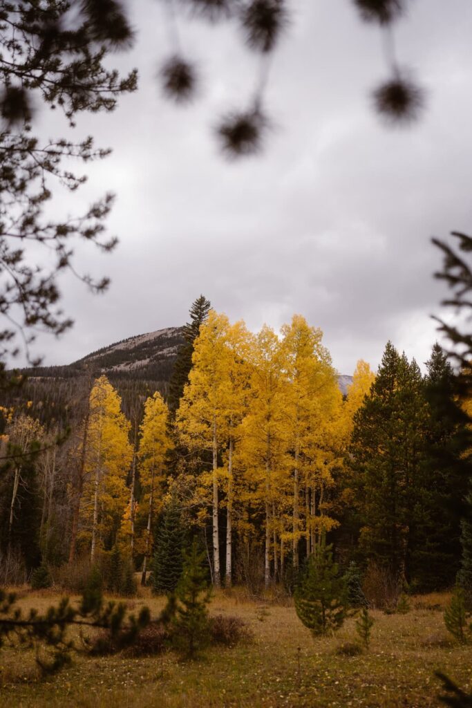 Fall scenery in Rocky Mountain National Park