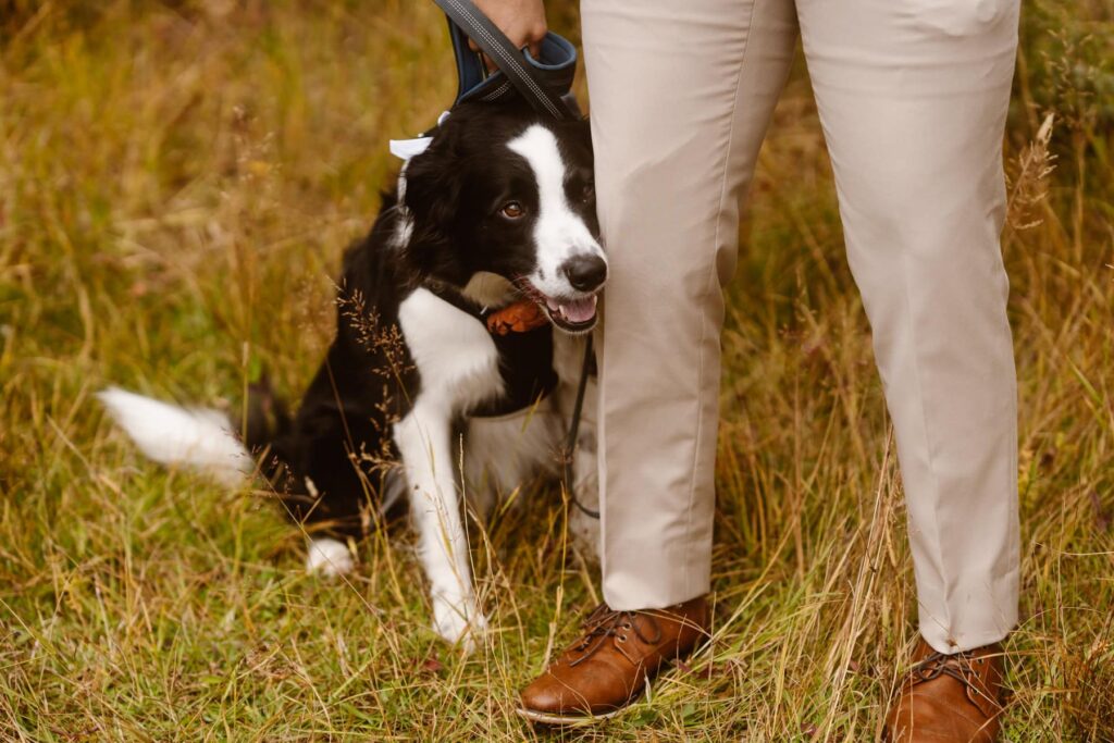 Dog and best man