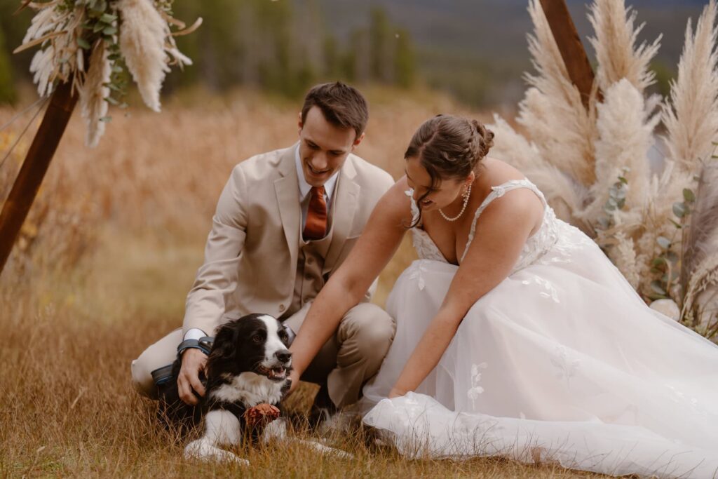 Couple petting their dog after their wedding ceremony