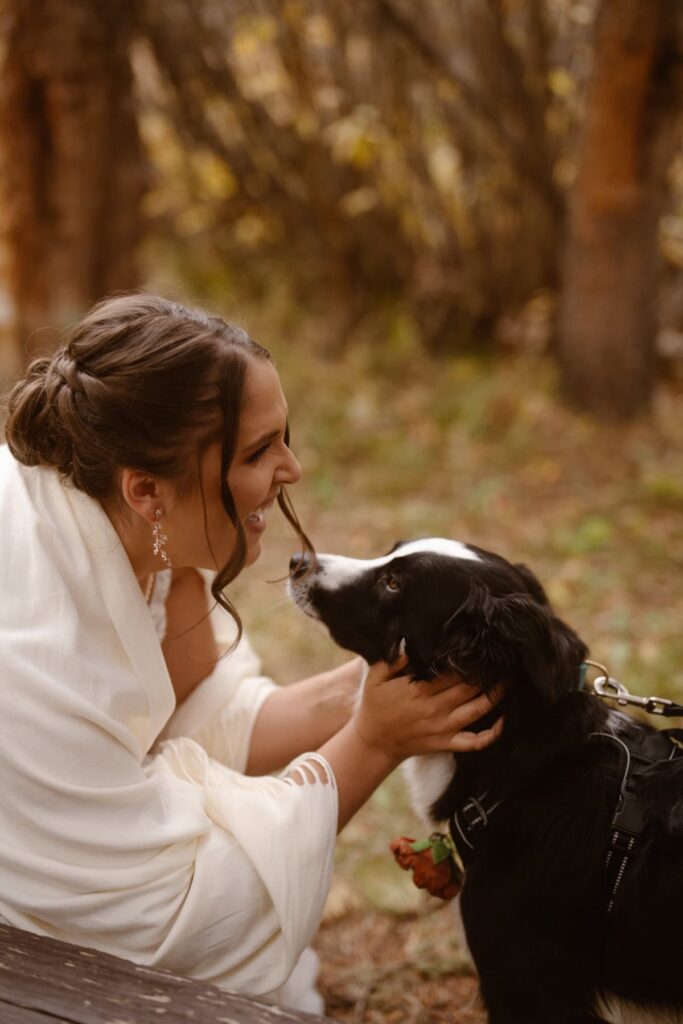 Bride and dog snuggling together