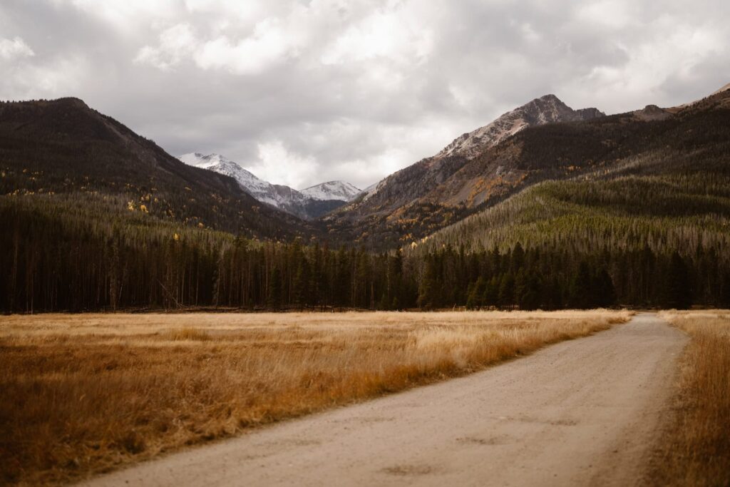 View of meadow in Rocky Mountain National Park