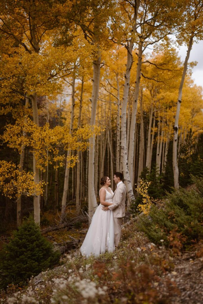 Bride and groom wedding portraits in the aspen grove in Grand Lake, Colorado