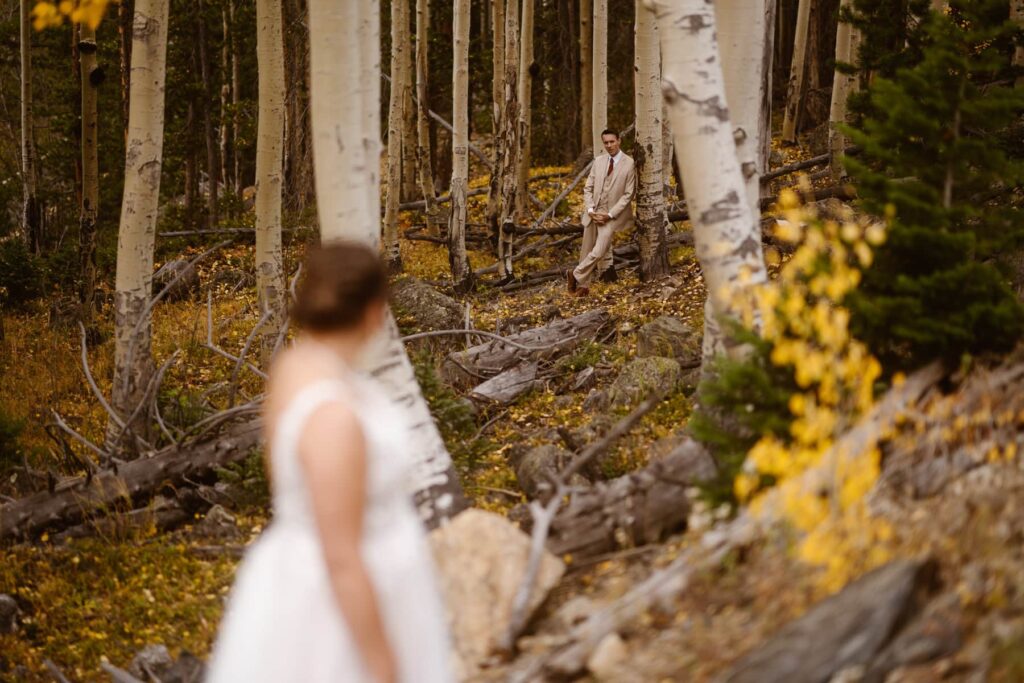 Bride and groom in the aspen grove 