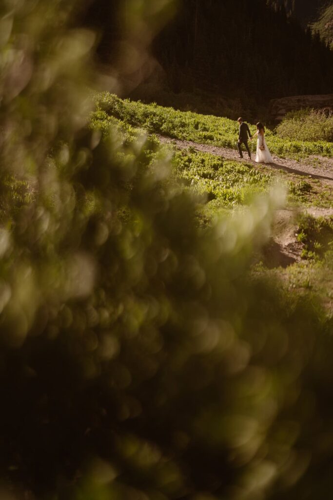 Bride and groom in a mountain meadow