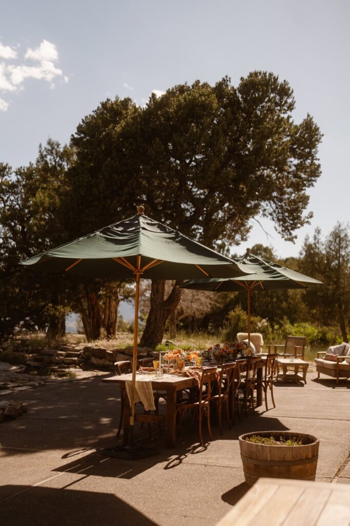 Small outdoor wedding picnic spread