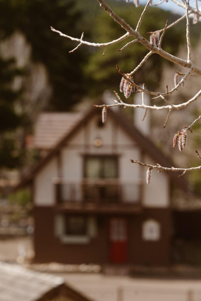 Cottage view