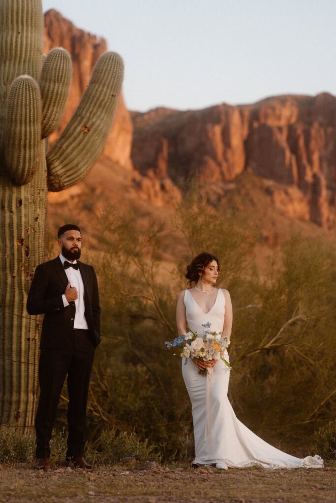 Lost Dutchman State Park wedding photos in the cactus