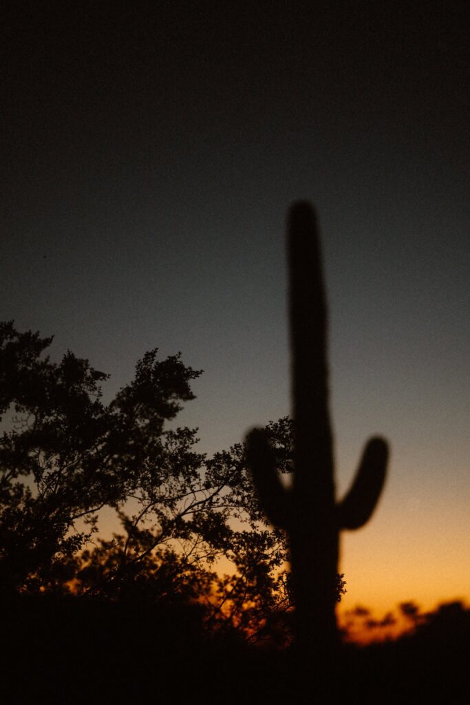 Wedding day sunset at Lost Dutchman