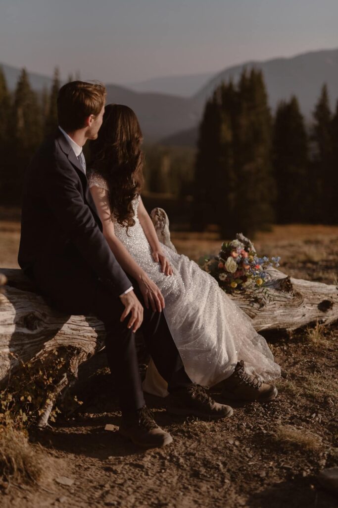 Bride and groom sitting on a log in the mountains