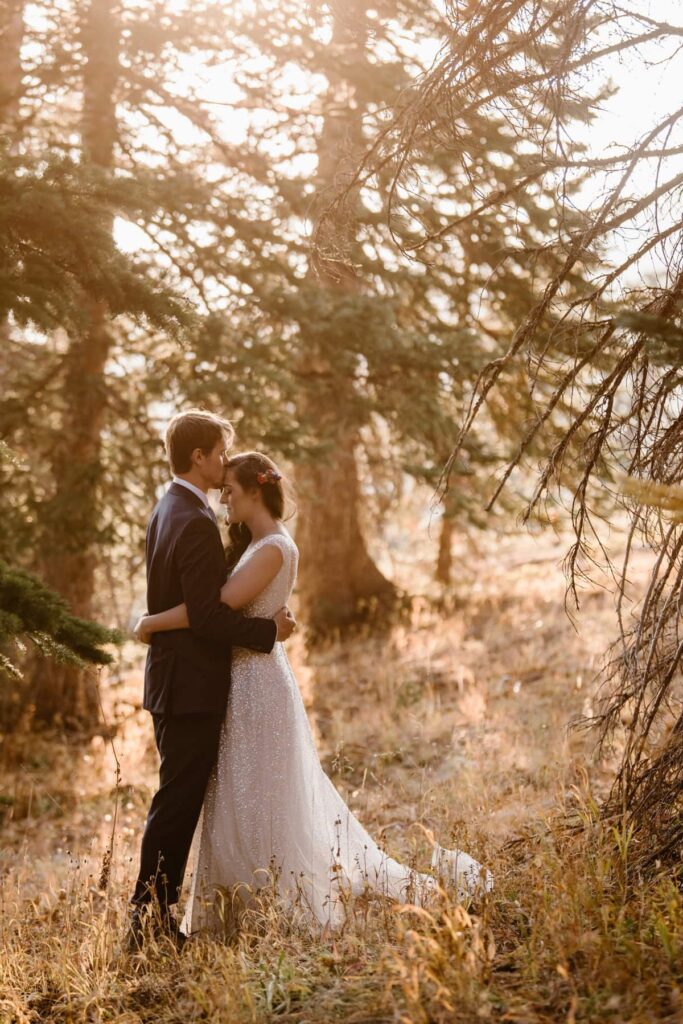 Romantic sunset forest wedding photos