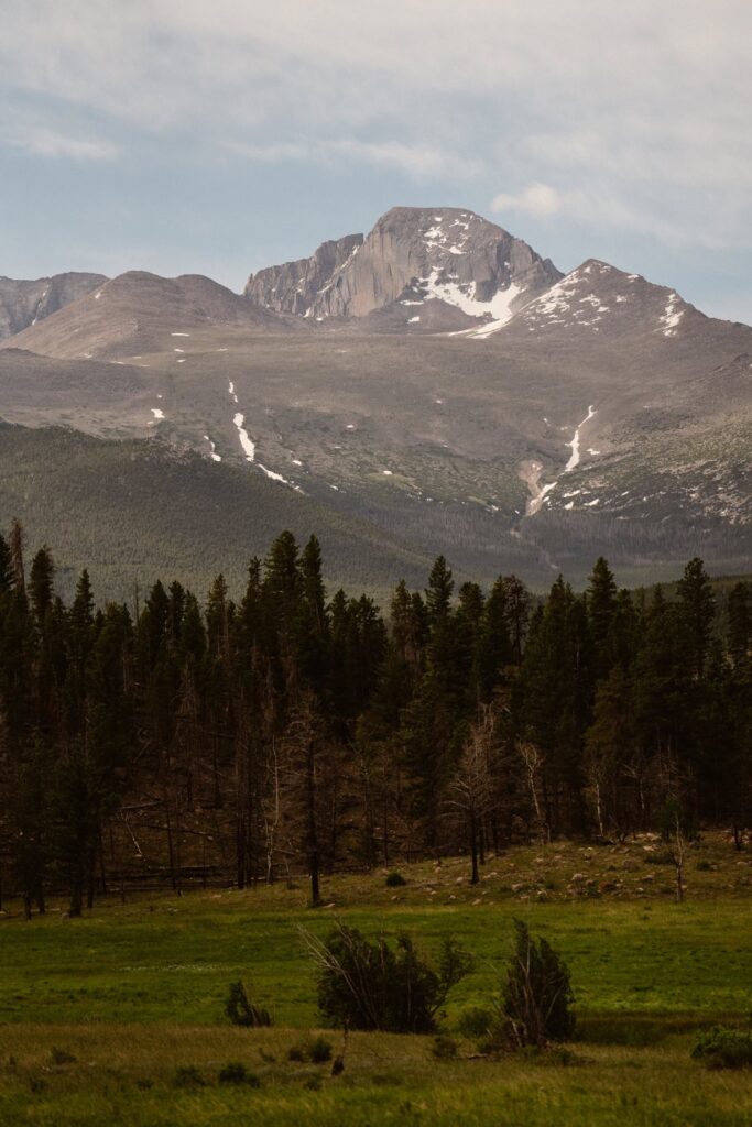 View of Longs Peak from Upper Beaver Meadows