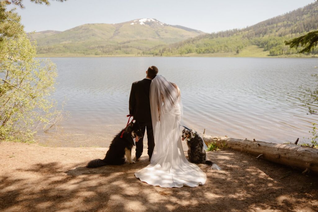 Bride and groom photos with dogs in the mountains