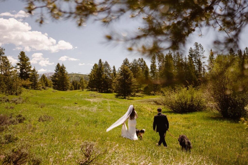 Bride, groom, and dogs walking through a mountain meadow