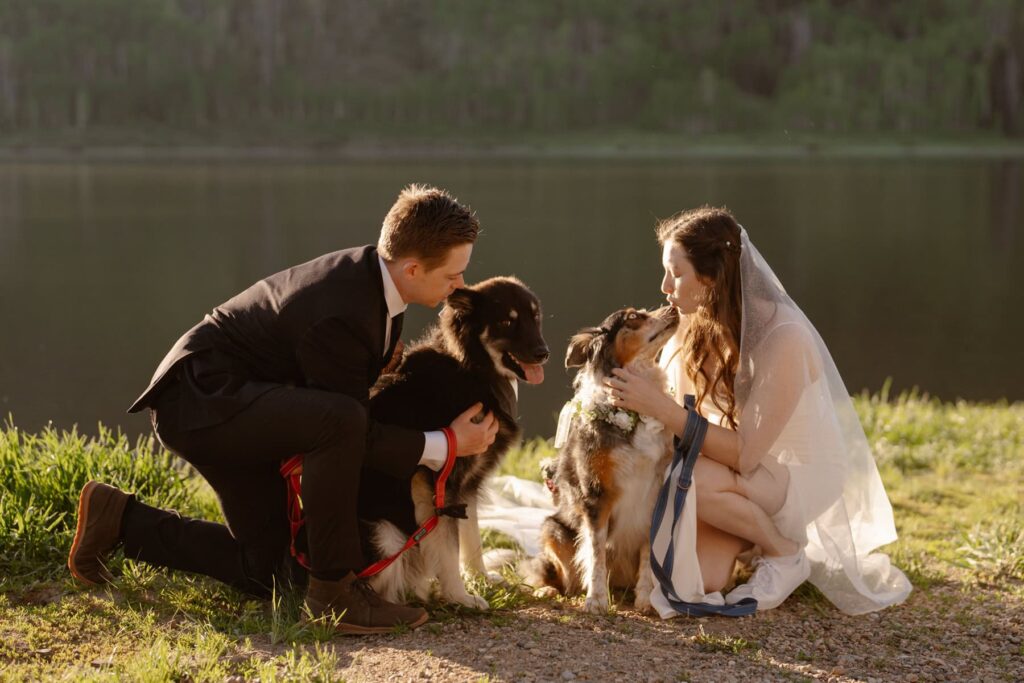 Couple with their two dogs on their wedding day