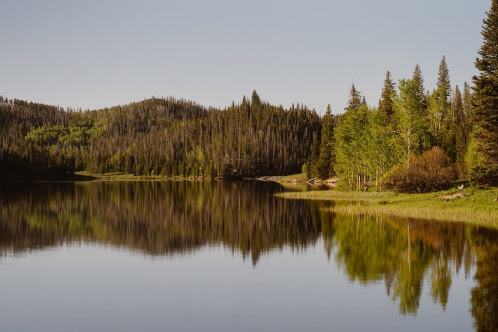 View of Pearl Lake