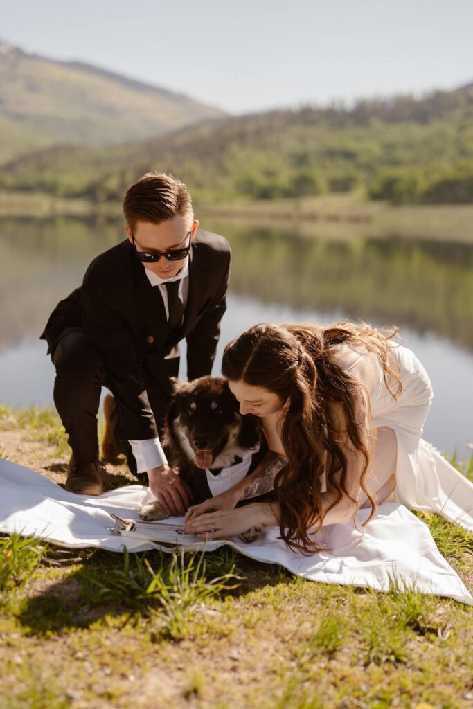 Dog putting paw print on Colorado marriage license