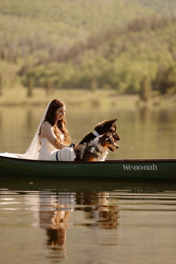 Bride and two dogs in the back of the canoe