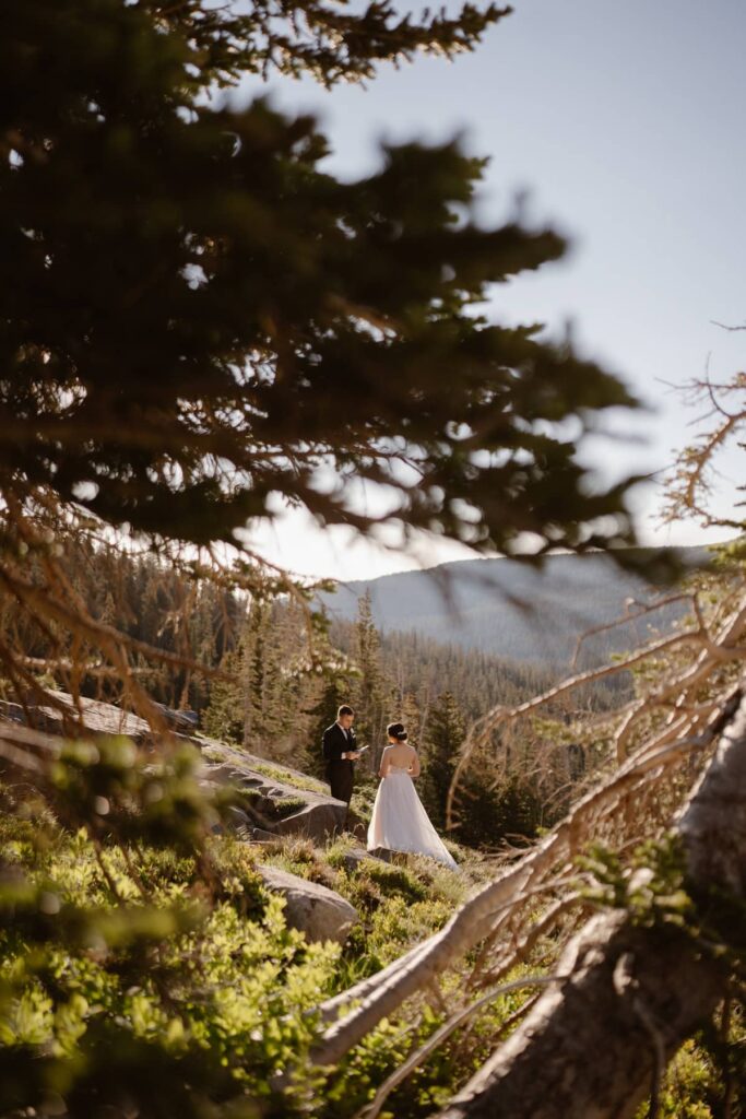 Elopement ceremony