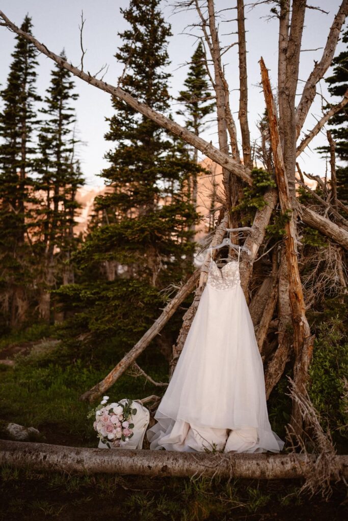 Wedding gown hanging in nature