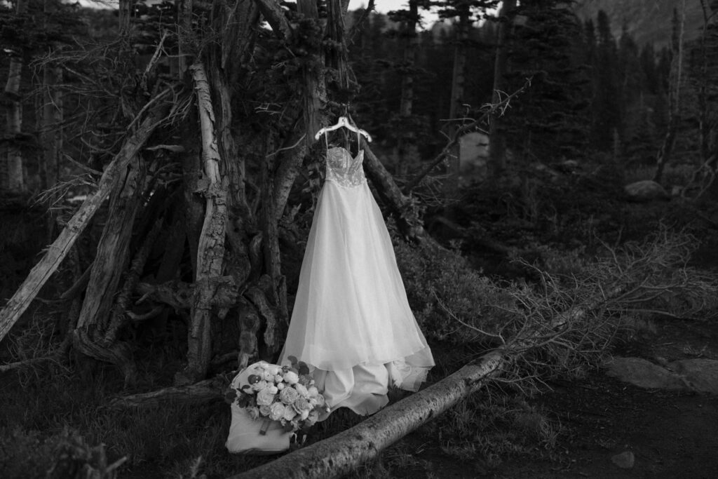 Wedding dress, backpack, and bouquet